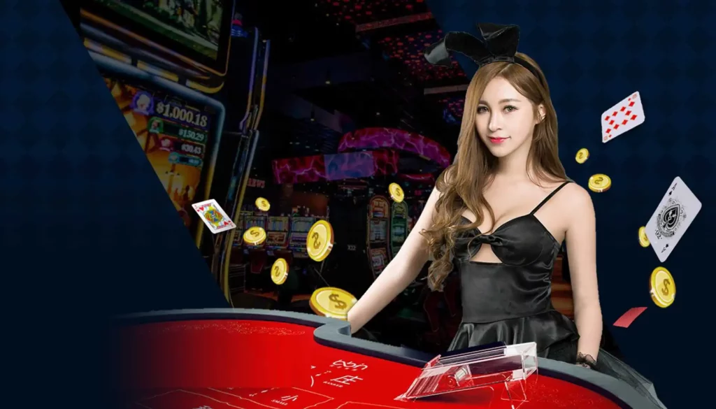 真人百家樂新手教學，玩法規則一次搞懂！｜TU娛樂城