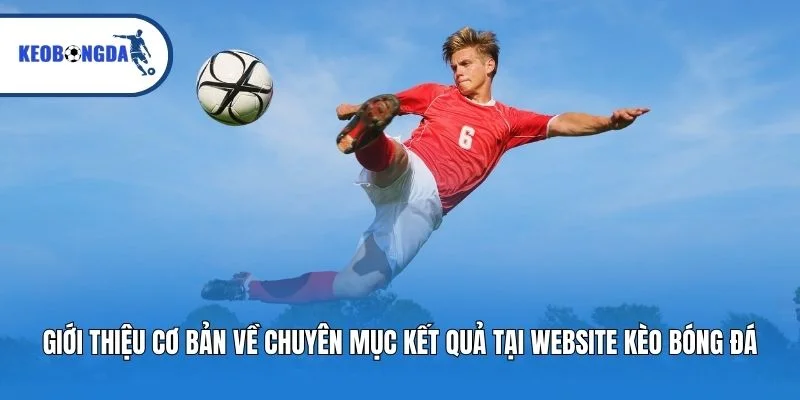 Giới thiệu cơ bản về chuyên mục kết quả tại website kèo bóng đá