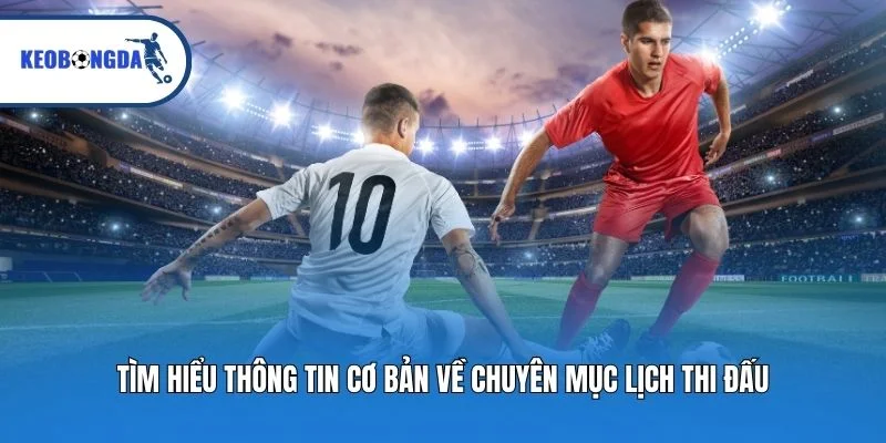 Tìm hiểu thông tin cơ bản về chuyên mục lịch thi đấu